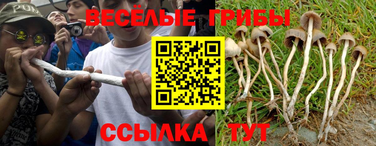 Галлюциногенные грибы MAGIC MUSHROOMS Ивантеевка