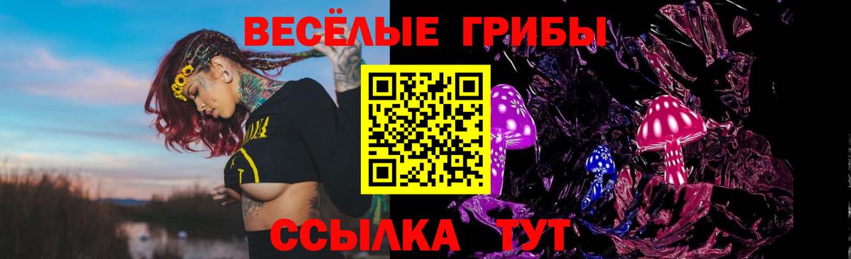 Псилоцибиновые грибы Magic Shrooms  Вход с VPN  Ивантеевка 